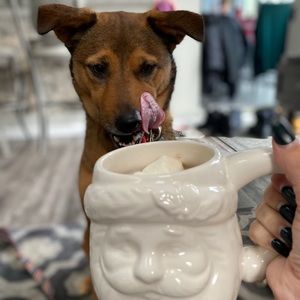 Meet your Posher, Brooke